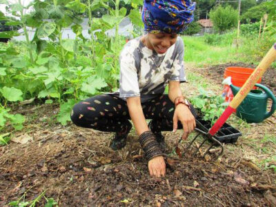 Urban Food Sovereignty is Our Goal Image